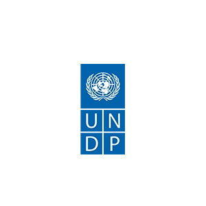 undp